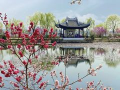 -无锡蠡湖国家湿地公园-蠡园