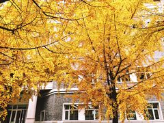 -北京大学赛克勒考古与艺术博物馆