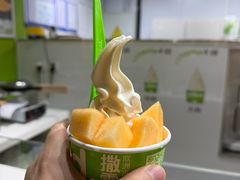 -Salud撒露欧洲冻酸奶(北苑上品店)