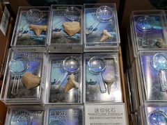 -Behring World of Animals(上海自然博物馆店)