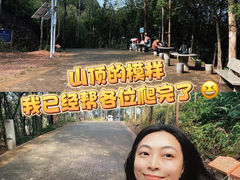 -滴水岩森林公园