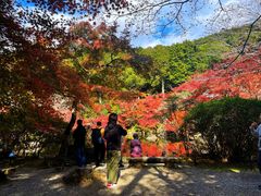 -醍醐寺