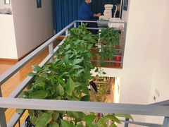 -视野联行眼镜(西站中天健广场店)