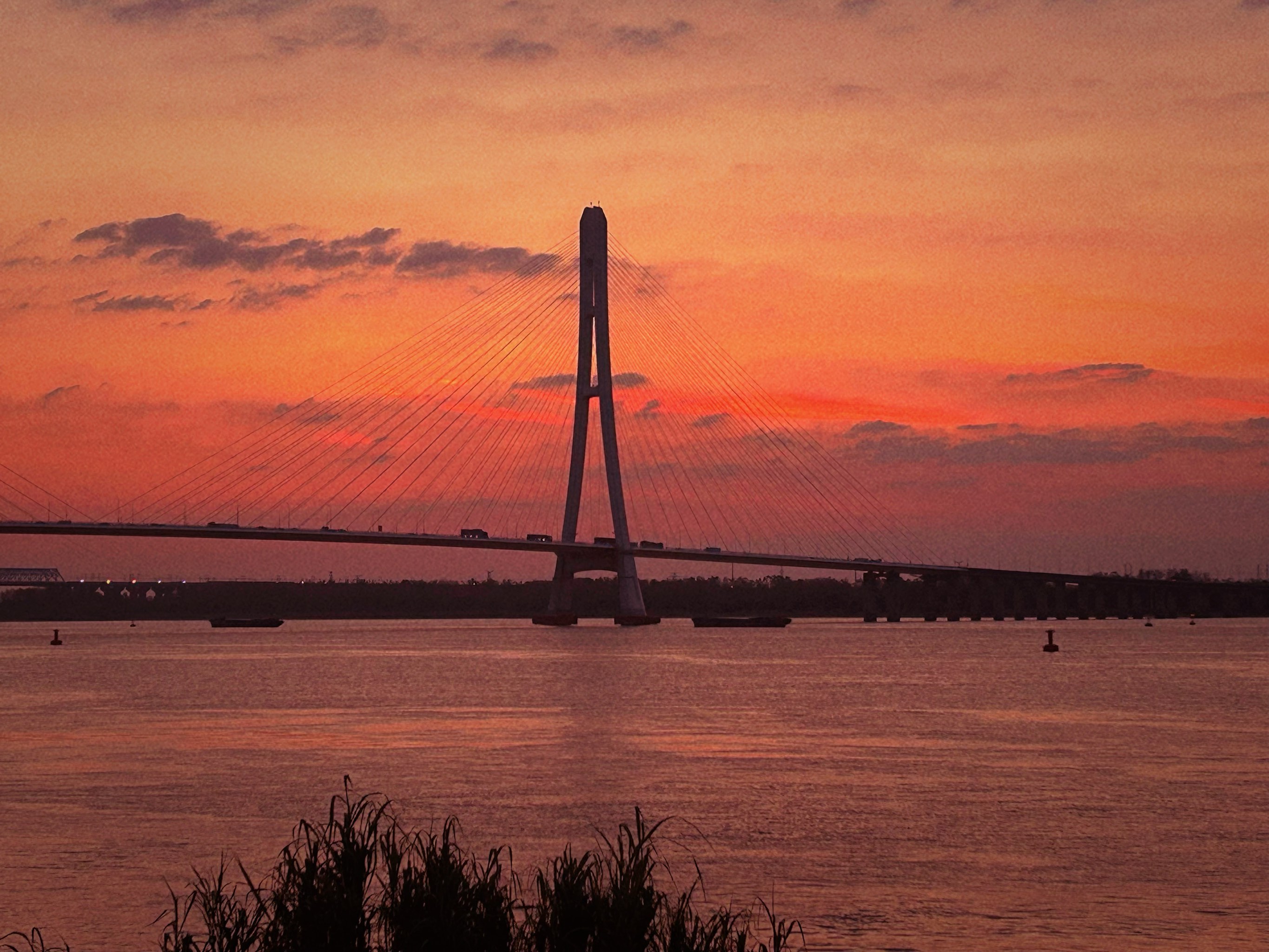 南京鱼嘴湿地公园夕阳图片