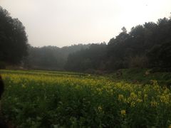 -韶山毛泽东同志故居