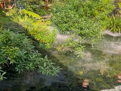 -凤凰山斑鱼馆(恭城店)