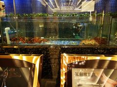 水产区-泓历皇朝酒店(东亭店)
