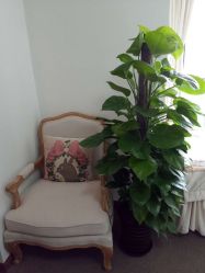 -尚美日式美甲美睫工作室