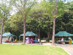 -苏州河梦清园环保主题公园