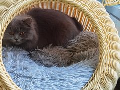 -Vamos巴猫司健身中心(五角场店)