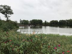 景点-长兴太湖图影湿地文化园