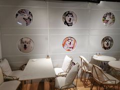 用餐区-Husky Go! 哈士奇体验馆·宠物咖啡厅狗咖