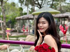 -灵玲国际马戏城