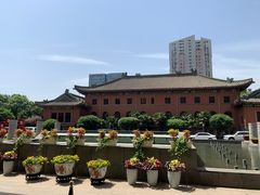 -南京钟山宾馆(江苏省会议中心)
