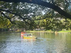 -晓港公园