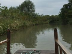 -溱湖国家湿地公园