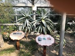 -南山植物园