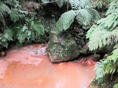 -赤水丹霞旅游区·佛光岩