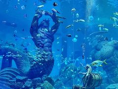 -波塞冬海底世界