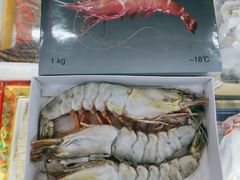 -沈阳水产批发市场