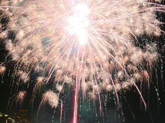 -广州白天鹅宾馆