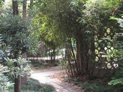 -徐家汇源景区-衡山公园