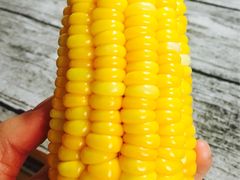 -天一朴素(武汉大学店)