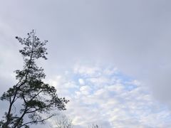 -杭州生仙里国际滑雪场