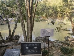 -汇龙潭