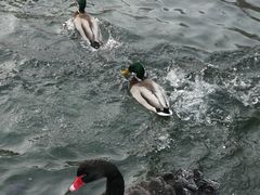 -水磨沟公园