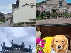 -晓琦农家菜馆·地道农家菜