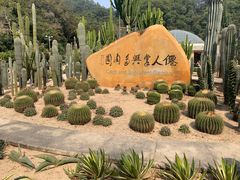 -深圳仙湖植物园