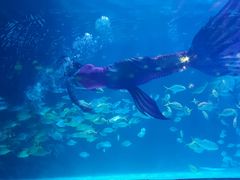 -常州海昌海洋探索馆