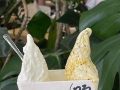 -野人先生Gelato(上海长宁龙之梦店)