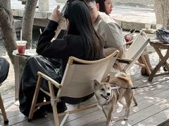 -春风习习
