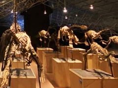 -世界恐龙谷景区