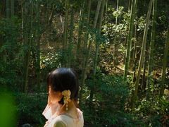 -山沟沟景区