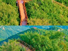 -大岭沟猕猴桃谷风景区