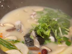 -咕嘟草帽鱼·牛奶一样的鲜鱼汤(天鹅湖万达广场店)