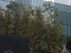 -上海璞麗酒店