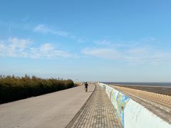 -南汇嘴观海公园