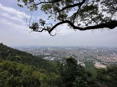 -惠山国家森林公园