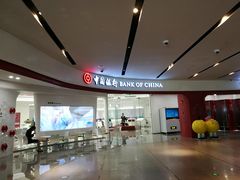 -中国银行(上海中心大厦支行)