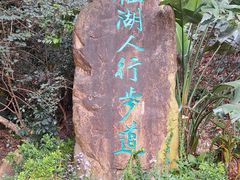 -深圳仙湖植物园