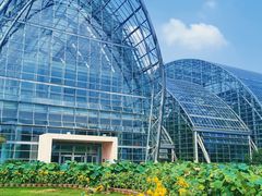 -南山植物园