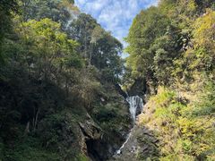 -石台牯牛降景区