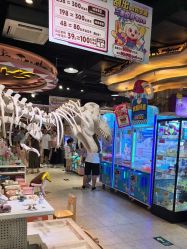 -卡通尼·Safari非洲探索乐园·生日会(金桥国际商业广场店)