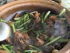 -霞姐屯昌枫木香草鸭店(海螺店)