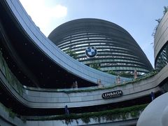 -白玉兰食品(甜云店)