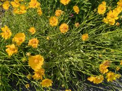 -西部长青自然儿童乐园